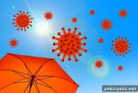 Study Predicts COVID-19 Cases Will Stay Stable or Dip This Fall