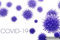 How COVID-19 Can Damage the Entire Nervous System