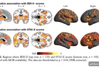 What Causes Depression at the Molecular Level