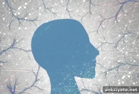 How Much Oxygen Does Your Brain Need Per Minute?