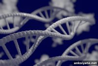 Scientists Identify Gene Driving Glioblastoma