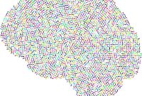 New Study Finds Hidden Brain Structure Drives Addiction