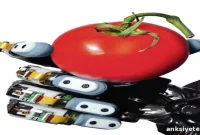 How Robots Learn to Feel: Haptics and Tactile Sensors
