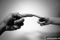Aging Revealed: How Our Bodies and Minds Change Over Time