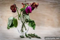 How Grief Alters Neuroendocrine Biomarkers
