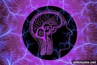 Early Neural Circuit Training Boosts Behavioral Responses