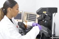 Human-on-a-Chip Model Sheds Light on ALS Pathology