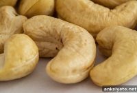 Cashew Shell Compound Shows Promise for Nerve Repair