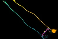 Abnormal Neuronal Fusion Disrupts Brain Circuits