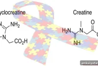 Researchers Report Successful Treatment for Autism