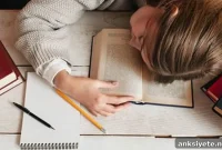 How Circadian Rhythms Clear Brain Waste During Sleep