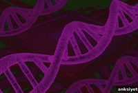 Mild Parental Stress Reduces Disease Risk in Offspring