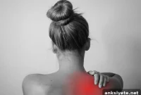 Study Finds Middle-Aged Americans Have More Pain Than Seniors