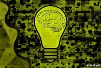 Stem Cells Restore Parkinson’s-Damaged Brain Circuits in Mice