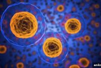 Stem Cell Therapy for Spinal Cord Injury Recovery