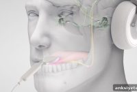Ear and Tongue Stimulation Device Reduces Tinnitus in Trial