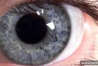 Saliva and Pupil Size Reveal Overactive Nervous System in Autism