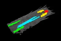 How the Nervous System Filters Sensory Signals to Guide Behavior