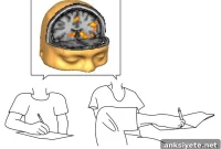 How Reaching and Grasping by Hand or Foot Reveal Brain Control