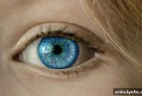 Unique Schwann Cells Found in the Eye