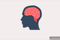 Midlife High Blood Pressure Raises Risk of Brain Damage Later