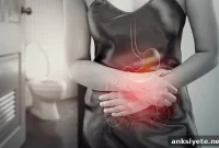 How the Gut Microbiome Controls Sleep and Circadian Rhythm