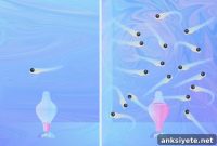 How Social Distancing Changes Your Brain