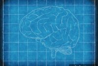 Brain Size and White Matter Reveal Autism Subtypes