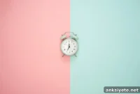 How Noncoding DNA Regulates Circadian Rhythms