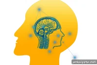 Bedside EEG Predicts Outcomes After Coma from Brain Injury