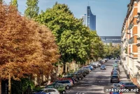 Living Near Street Trees May Lower Depression Risk
