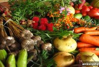 How Childhood Diets Affect IQ