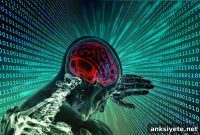 Flip the Switch on Human Neuroplasticity