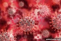 AI Tool Predicts and Prevents COVID-19 Mutations