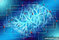 Focused Ultrasound Therapy for Brain Disorders