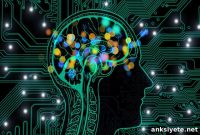 How AI Predicts Your Mortality Risk