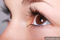 How the Visual System Prevents Sensory Overload