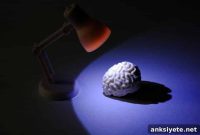 Brain Activity Could Predict Resilience to Post-Traumatic Stress
