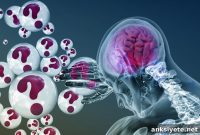 Gut Microbiome Changes Linked to Alzheimer-Like Behavior