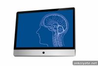 Neuroimaging: How Ideology Shapes Racial Perception