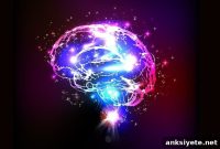CBD Cuts Amyloid, Boosts Cognition in Familial AD Model