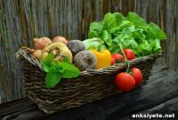 Plant-Based Diet Linked to 10% Lower Stroke Risk