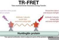 Study Finds Toxic Blood Protein Linked to Fatal Brain Disease