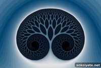How Psychedelics Reshape the Brains of Informed Users