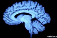 Fingerprinting Breakthrough Improves Brain Tumor Diagnosis