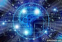New Study Links Brain Biochemical Pathway to Bipolar Disorder