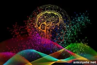 How Signal Detection Theory Objectively Measures Cognitive Fatigue