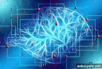 Brain Waves Point to Personalized Parkinson’s Treatments