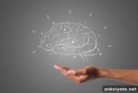 Why Some Neurons Die in Alzheimer’s While Others Survive