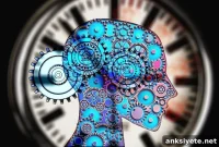 New Research Links Brain Immune System to Psychosis